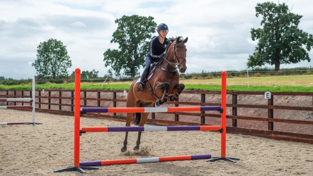 The Mechanicasl Influence of Shoe Type on Showjumpers - Juergan Ghottheart BSc (Hons)