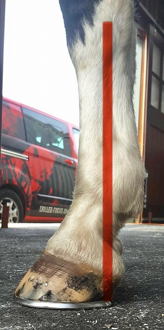 Hoofcare