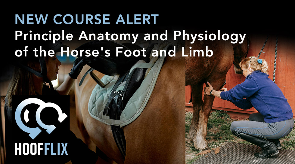 New Course
