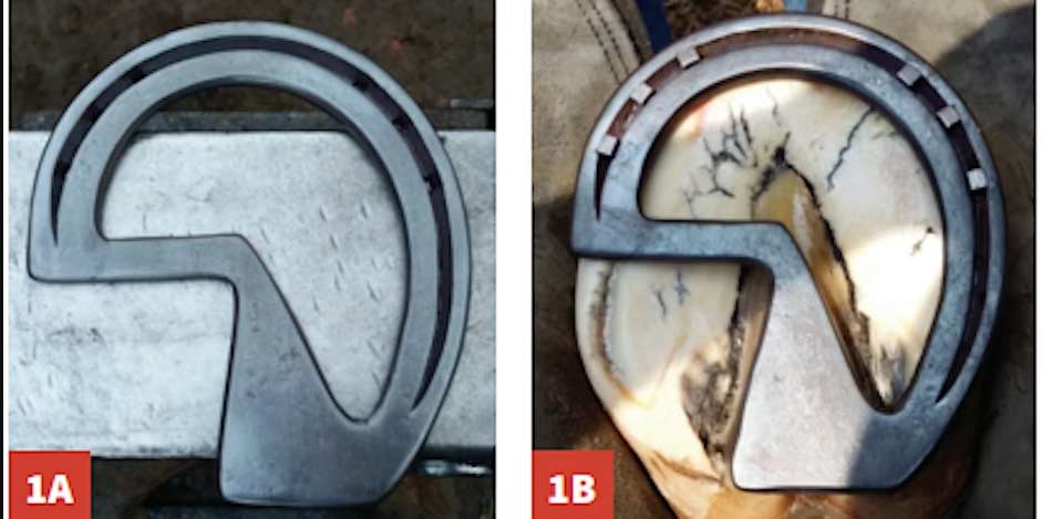 Hoofflix Webinar From Science Shoeing: Practical Solutions for Equine Hoof Care