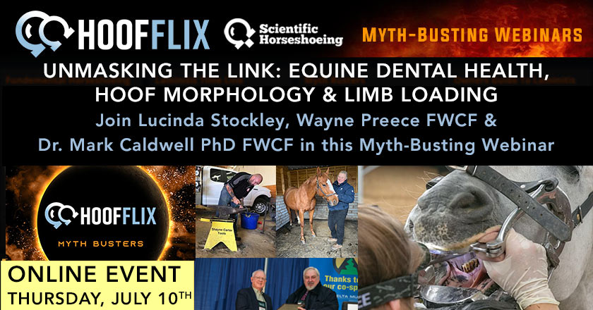 Hoofflix Event this Thursday 10th July