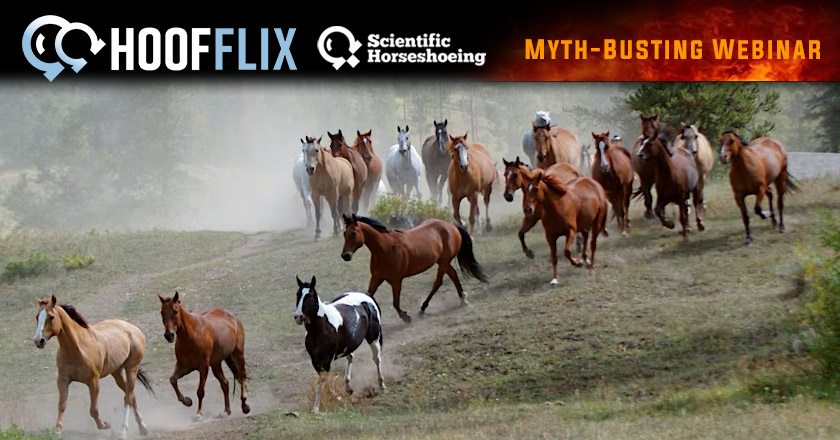 Hoofflix event Thursday 19th