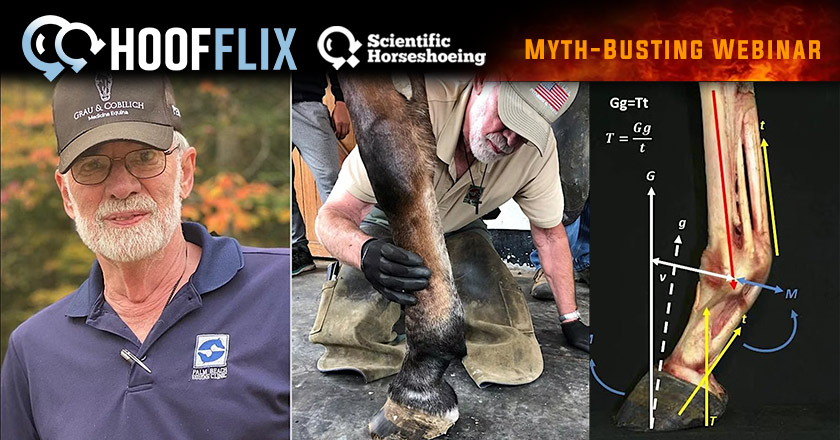 HoofFlix Event 28th August 2025