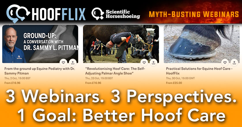3 new Hoofflix Webinars Get your Tickets today