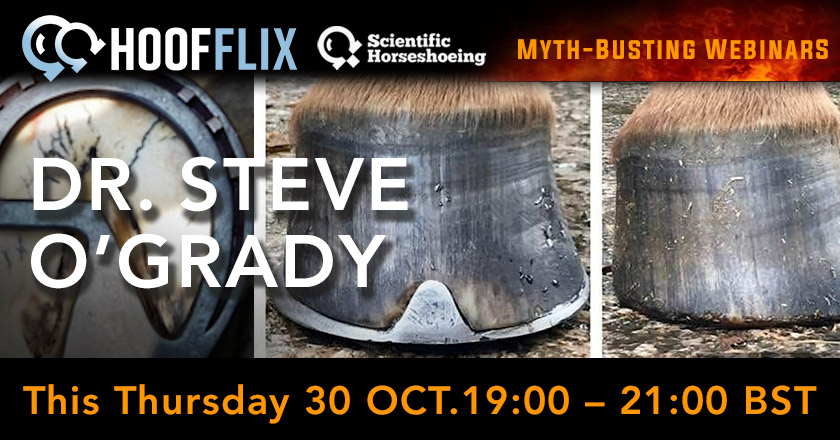 Practical Solutions for Equine Hoof Care