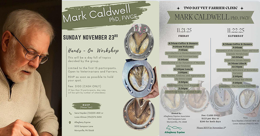 USA Event November 2025